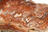 Polished Crazy Lace Agate Slab - Mexico #314738-1